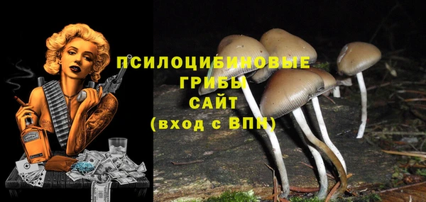 PSILOCYBIN Белоозёрский
