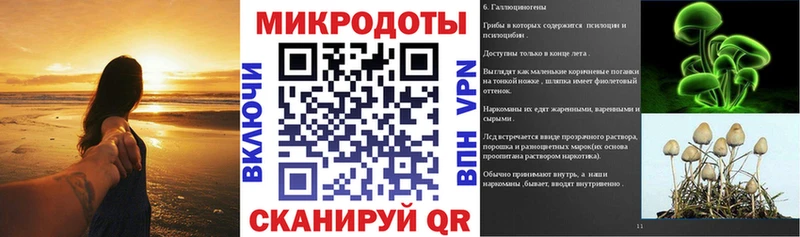 Галлюциногенные грибы прущие грибы  Губаха 