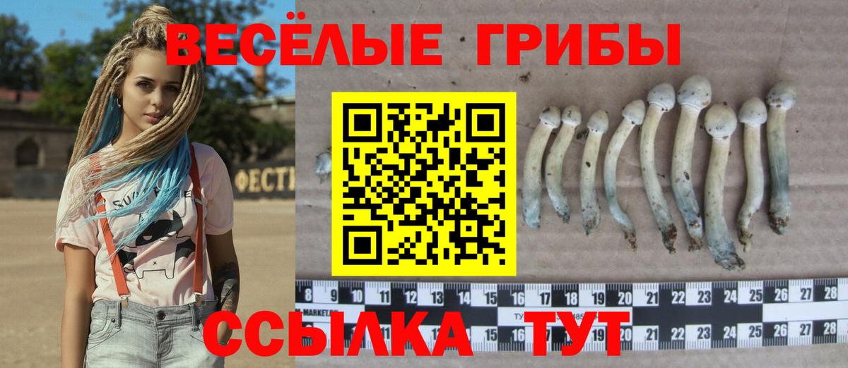 Губаха  Псилоцибиновые грибы ЛСД  Галлюциногенные грибы GOLDEN TEACHER  Вход с VPN 
