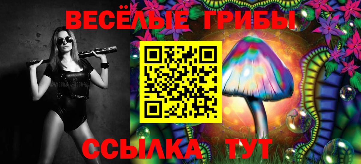 Псилоцибиновые грибы мухоморы Губаха